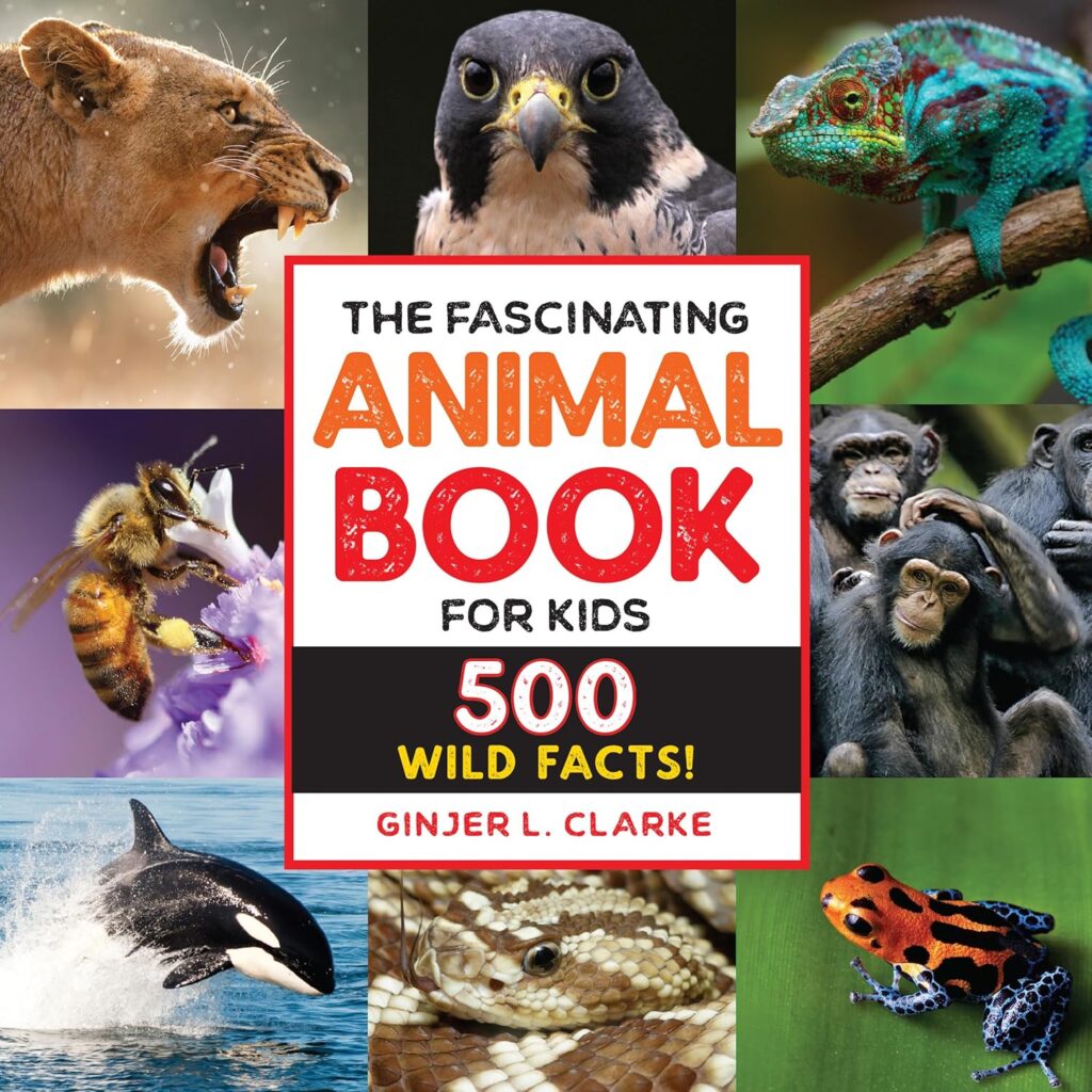 Animal Book https://amzn.to/41kyHXu